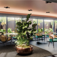 力強い植物の緑が映えるディクソニア・ガーデン