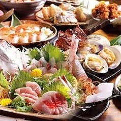 九州うまいもん よかよか 室町四丁目酒場の特集写真