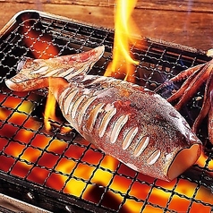 生干し氷下魚(こまい)2尾 /丸イカ炭火焼き