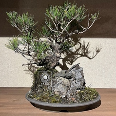 にくといろの雰囲気3