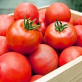 自社農場で育てる完熟トマト「アップルスター」を取り扱っております！トマト好きのための酸味が程よいトマトです。