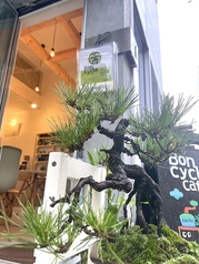 Boncycle cafe ボンサイクルカフェの写真