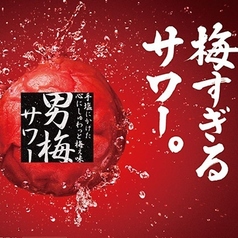 男梅サワー