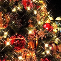 オレンジツリー ORANGE TREEのコース写真