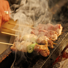 博多焼き鳥と刺身 ココロザシ 伏見店の写真