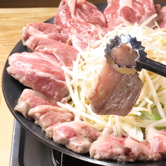 富良野の羊 成吉思汗 Produced by えいじんの特集写真