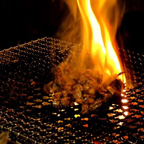 鶏 魚 一客一灯(下通り（銀座通り～新市街）/居酒屋)＜ネット予約可