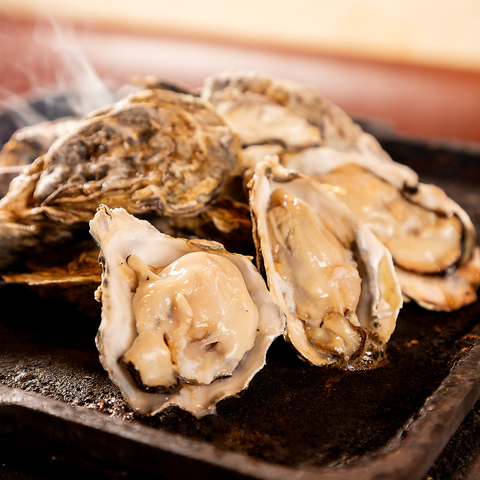 全国から旬の牡蠣を厳選仕入れ!1年中美味しい牡蠣が食べ放題や一品料理で楽しめます。