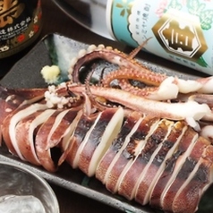 イカ姿焼き