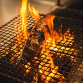 四国の漁港から直送される新鮮な魚介を使った料理が盛りだくさん！鮮度抜群の刺身はもちろん、香ばしい藁焼き、ふっくらと炊き上がった贅沢な釜めしなど、四国の味をたっぷりとご堪能いただけます！