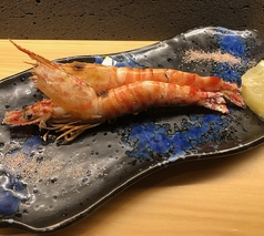 【炭火焼き】　活き車海老