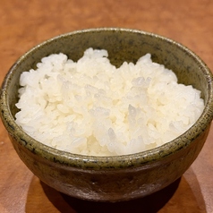 京丹後直送 コシヒカリごはん中盛り