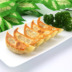 野菜餃子 (5ヶ)