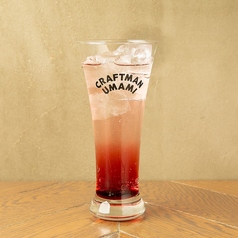 カシスベース各種