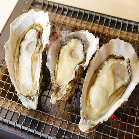 牡蛎処 桝政 ますまさ 室津本店(たつの市/居酒屋)＜ネット予約可