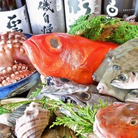 しずまえや焼津など静岡県産で獲れた魚を使用