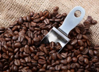 こだわりの有機コーヒー