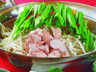 【遥贅沢コース】もつ鍋・刺し盛り含むコース5000円～