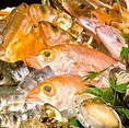 毎朝セリ落とす新潟の鮮魚！旬の魚介をお楽しみください！