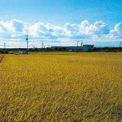 こだわりの国産米♪