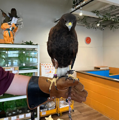 アニマルカフェExoHouse エキゾハウスの写真