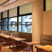 マンゴツリーカフェ 東京ドームシティ ラクーア店の雰囲気2