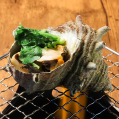 活サザエ つぼ焼き　1個