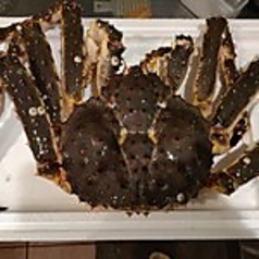割烹 ししくら 恵比寿の写真