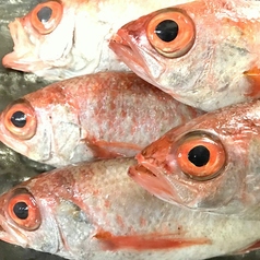 新潟料理と旬の食材 だしやのコース写真