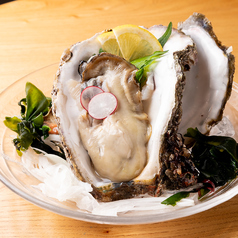 毎日、京都中央卸市場より新鮮なお魚を仕入れております！