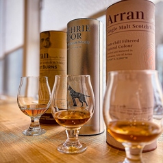 ワタリドリの特集写真