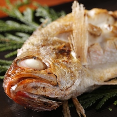 銀座方舟 大吟醸いろりのコース写真