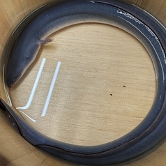 板前割烹 華のコース写真