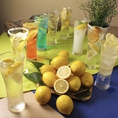 スタンドきもとでは17種類のレモンサワーをご用意しております！