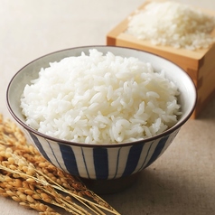 よしりん食堂の特集写真