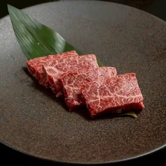 特撰サガリ