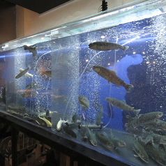 小川の魚 吉祥寺特集写真1