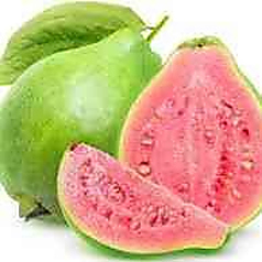 Guava