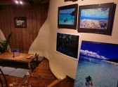 沖縄の自然を感じる素敵な写真を多数展示！