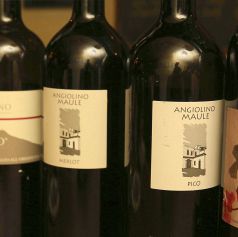 フェーガト・フォルテの写真3