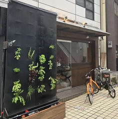 enjoy coo and nomu dining bar COOY クーイの写真