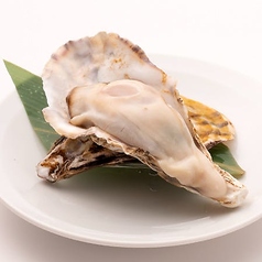 （広島県産）カキ