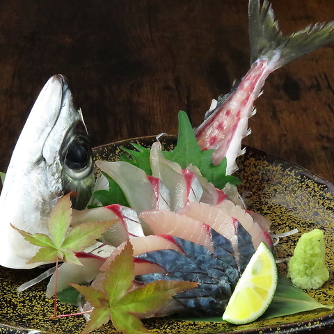 VՂ狏 Shohei fly VEwCtC