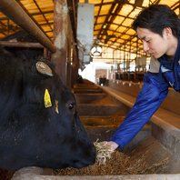 仕入れに一切妥協をしないからこそ実現した質の高さ