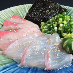 阿波びんびと渭東ねぎのすだちパッチョ