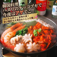韓国個室横丁 ハヌリ 新宿西口店のおすすめポイント1