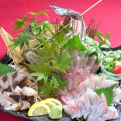 【生簀直送】本日の活魚