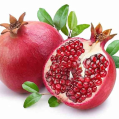 Grenadine
