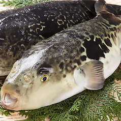 旬魚とふぐ料理 くし屋敷のおすすめ料理1