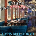 LAPIS BLEU TOKYO ラピスブルー トウキョウ 有楽町の雰囲気1